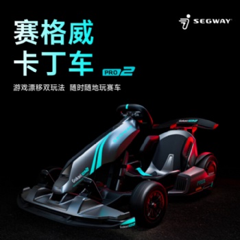 九号（Ninebot）赛格威电动卡丁车PRO2