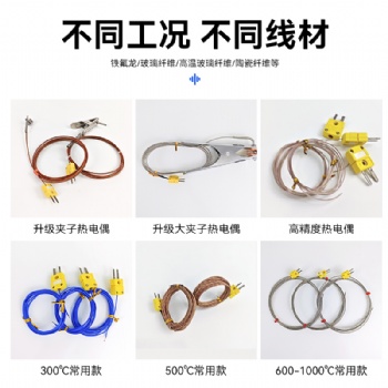 雷恩炉温测试仪：精准捕捉炉内温度的工业利器