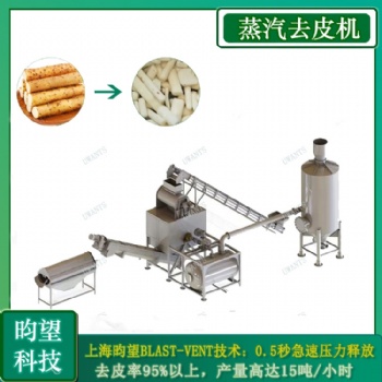 定制功率高效率果蔬蒸汽去皮机