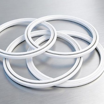 广东东莞液压弹簧四氟密封环密封件厂家