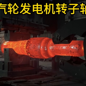 汽轮发电机转子轴锻件 锻造锻件 厂家定制