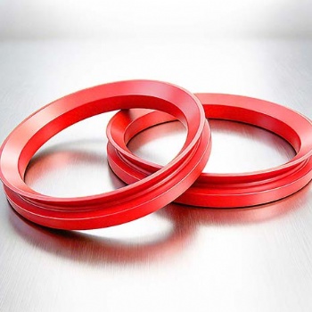 广东旋转轴端面水封DVA密封件方案厂家