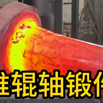 锥辊轴锻件 锻造锻件 厂家定制