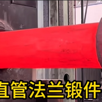 直管法兰锻件 锻造锻件 厂家定制