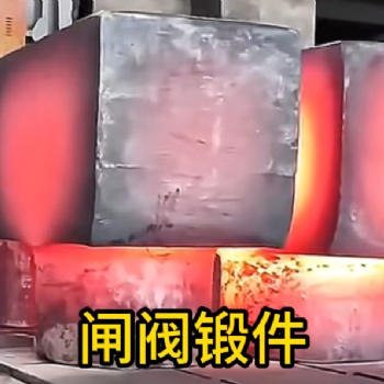 闸阀锻件 锻造锻件 厂家定制