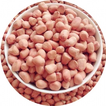 求购农产品食品花生仁