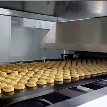 食品厂专用全自动烘焙生产线