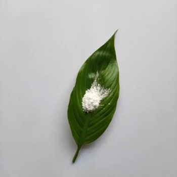 钇稳定纳米氧化**末 特种陶瓷 陶瓷手机壳用纳米氧化锆