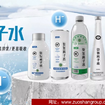 左杉负氢离子水业简介