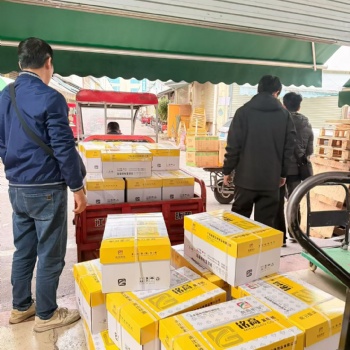 办公复印打印纸全套 70g80g双规格、政企校通用