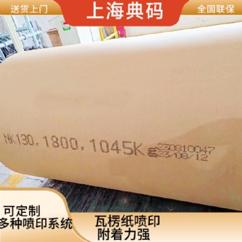 瓦楞纸喷码机 卷纸喷码机厂家 在线喷码机 典码