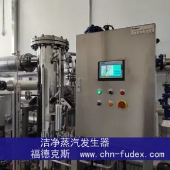 洁净蒸汽发生器-源头厂家-精品货源-纯蒸汽发生器