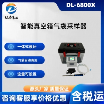 无组织真空箱气袋采样器 负压式采样器