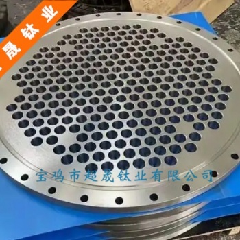 TA2/TA10钛管板